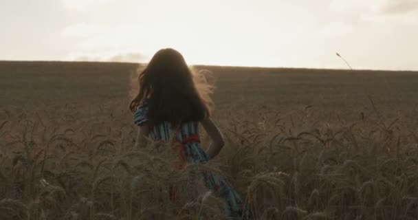 Νεαρό κορίτσι σε ένα πεδίο χρυσαφένιο σιτάρι σηκώνοντας τα χέρια της στην ευτυχία μπροστά από το ηλιοβασίλεμα - Πλάνα, βίντεο