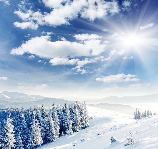 Зима - Фото, изображение