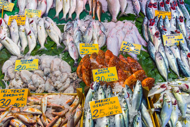różne rodzaje ryb na sprzedaż - Zdjęcie, obraz