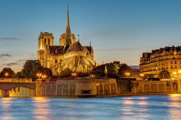 Notre Dame Pariisissa aamunkoitteessa
 - Valokuva, kuva