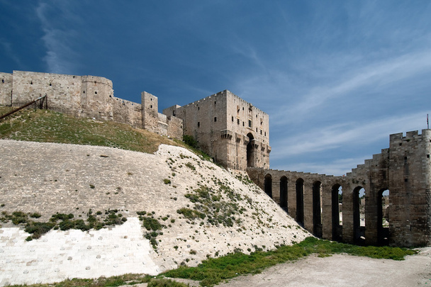 シリアでの壮大なアレッポ城塞 - 写真・画像