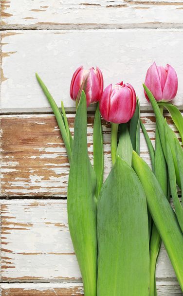 Beautiful pink tulips on wooden background - Foto, imagen