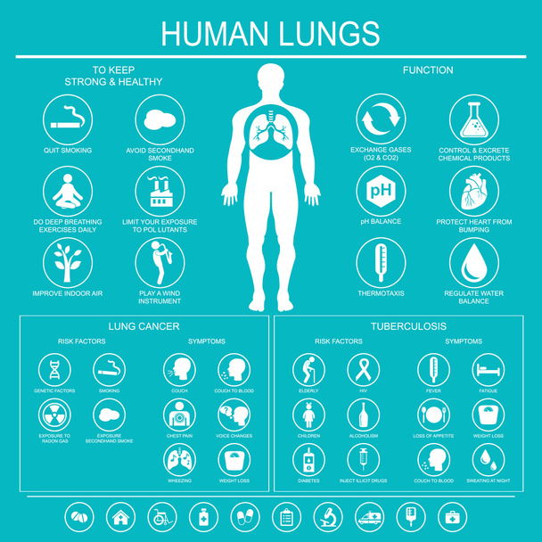 Lungenfunktion und Gesundheit.  - Vektor, Bild