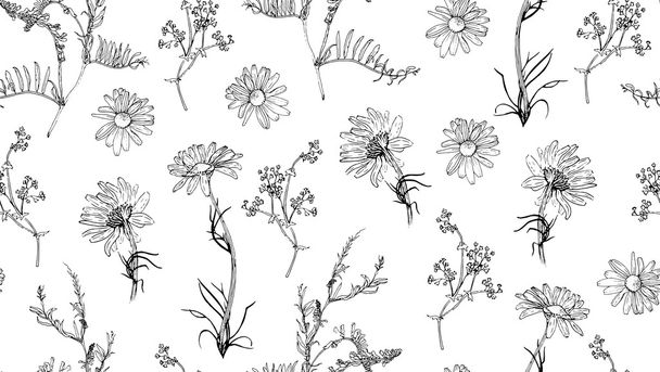 Seamless pattern with hand drawn plants - Vector, afbeelding