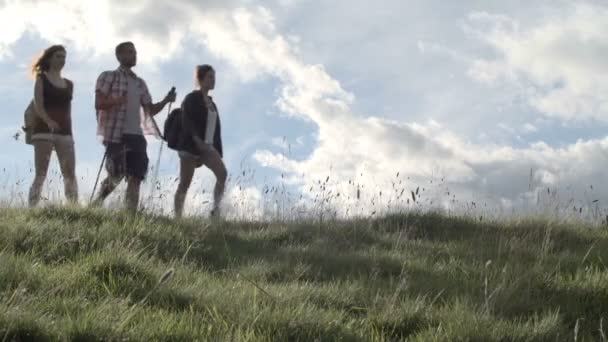 Jóvenes amigos haciendo senderismo de izquierda a derecha en paisajes naturales al aire libre de montaña
 - Metraje, vídeo