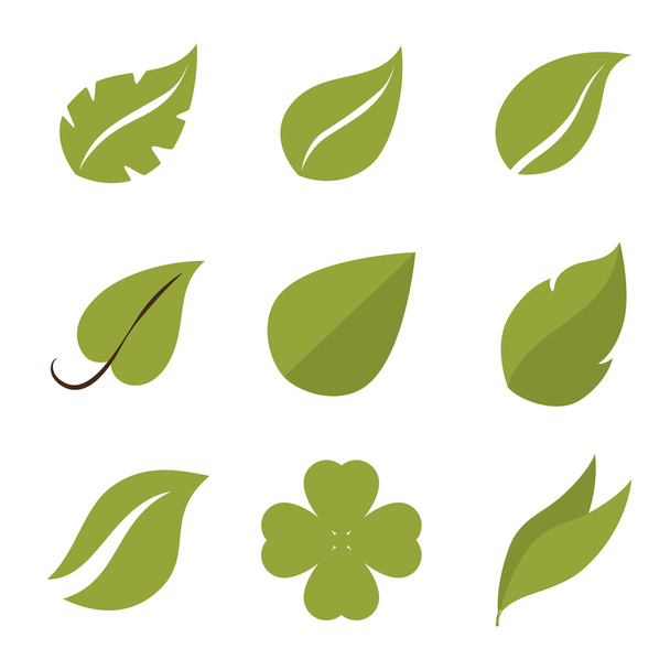 緑の葉の分離設計 - ベクター画像