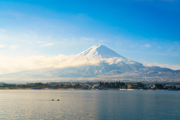 山富士河口湖総合 - 写真・画像