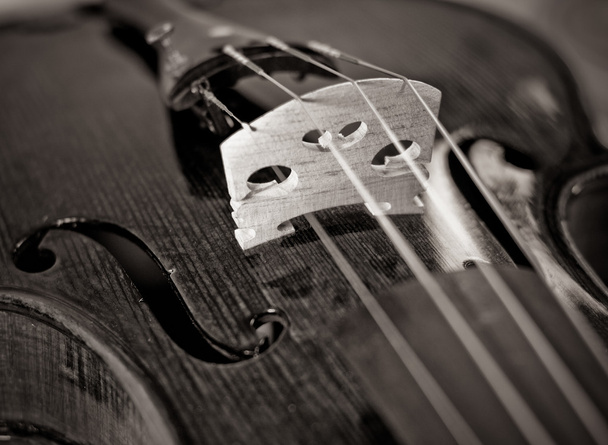 Violin bridge toned photo - Photo, Image