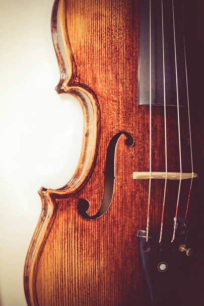 professional violin background close-up toned photo - Fotó, kép