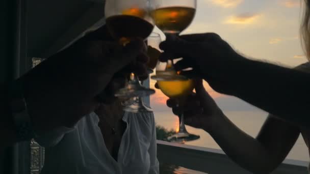 People Clinking Wine Glasses in Celebration - Filmati, video