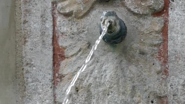 une petite fontaine dans la sculpture de la tête du serpent. l'Action au ralenti
. - Séquence, vidéo