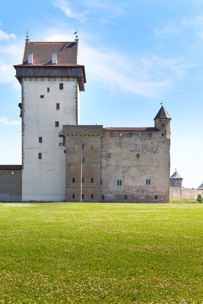 Estonia. Narva. starożytnej fortecy na granicy z Rosją - Zdjęcie, obraz