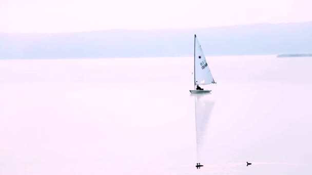 Early morning on the lake. Sailing the boat glides on the water surface. Full calm. - Footage, Video