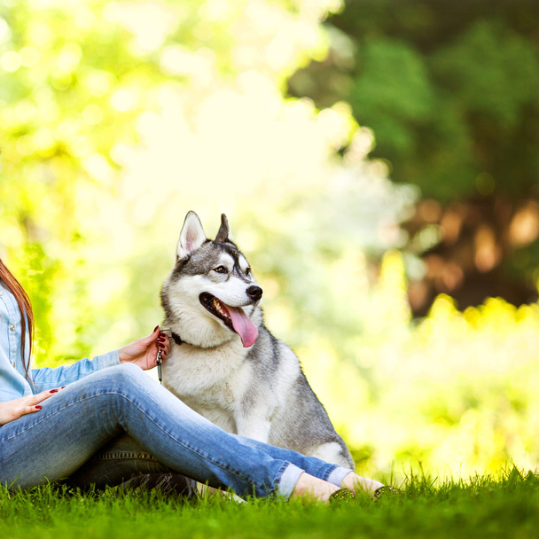 little girl in the park their home with a dog Husky - Foto, Imagen