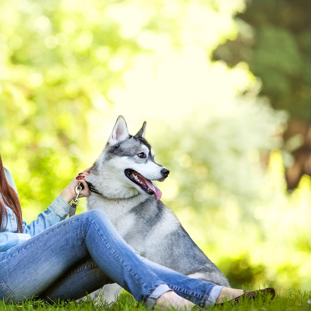 girl in the park their home with a dog Husk - Φωτογραφία, εικόνα