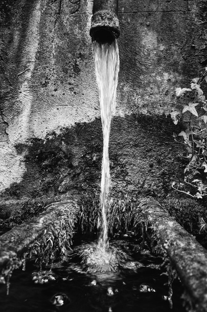 Un chorrito de agua cae en una vieja bañera redonda de piedra musgosa
. - Foto, Imagen