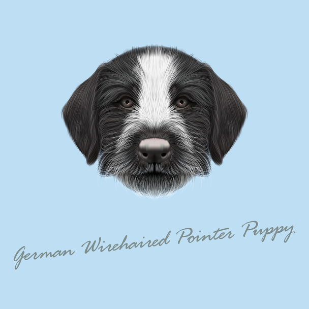Vector Illustrated Portrait of German Wirehaired Pointer puppy. - Vector, Image