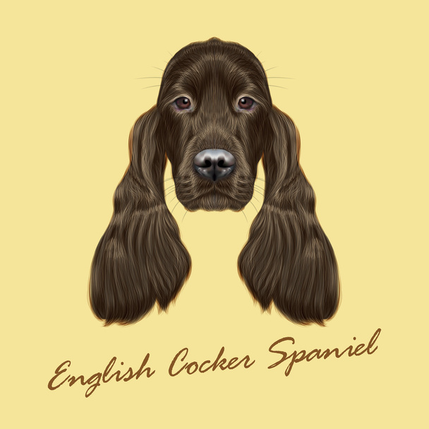 Vector Illustrated portrait of Gordon Setter dog.  - Vector, Image