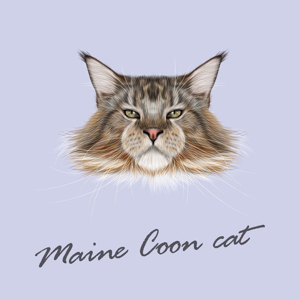 Vector Illustrated Portrait of Maine Coon cat. - Vector, Image