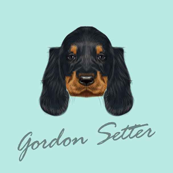 Vector Illustrated Portrait of Gordon Setter dog. - Vector, Image