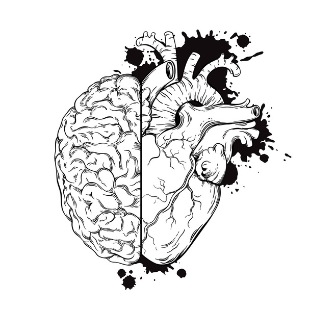 Рука намальована лінія мистецтва людський мозок і півкулі серця. Гранд ескіз чорнила татуювання ізольовані на білому фоні Векторні ілюстрації
 - Вектор, зображення