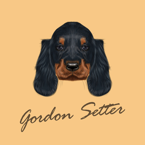 Pies portret ilustrowany Gordon Setter wektor.  - Wektor, obraz