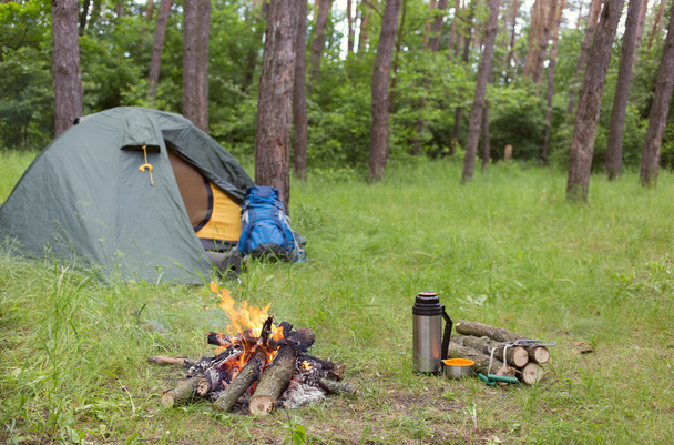 Camping in the woods. - Foto, Imagen