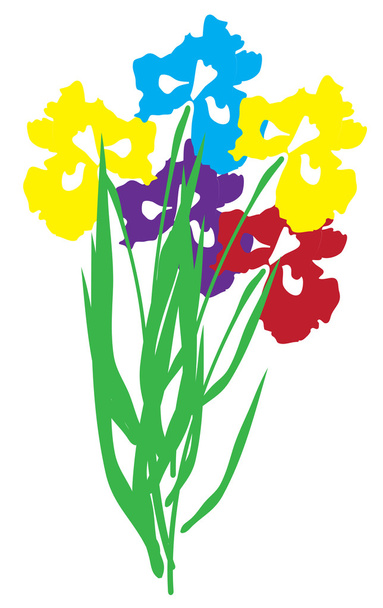 Vector Iris Flower - Vector, Image