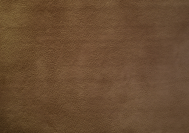 Brown leather chamois - Photo, Image