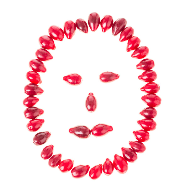 Dogwood berries in form of a face. - Fotoğraf, Görsel