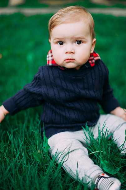 kaunis vauva poika istuu vihreällä ruoholla kevätnurmikolla
 - Valokuva, kuva
