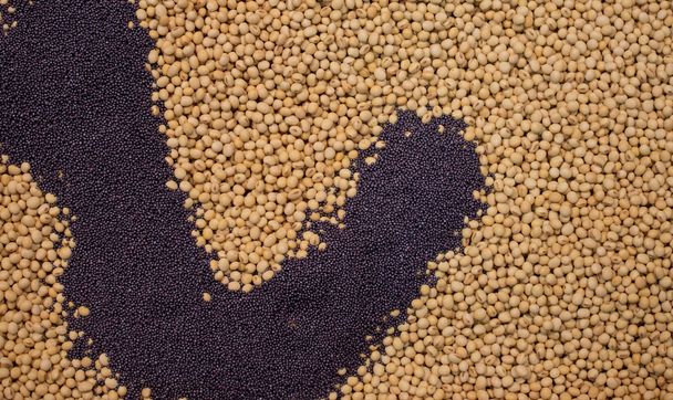 Semillas de soja y amapola
 - Foto, imagen