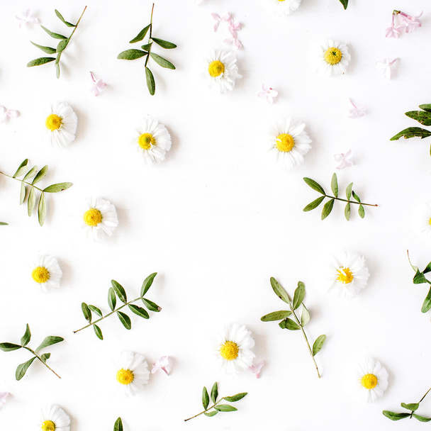 floral frame with chamomile flowers - Photo, Image