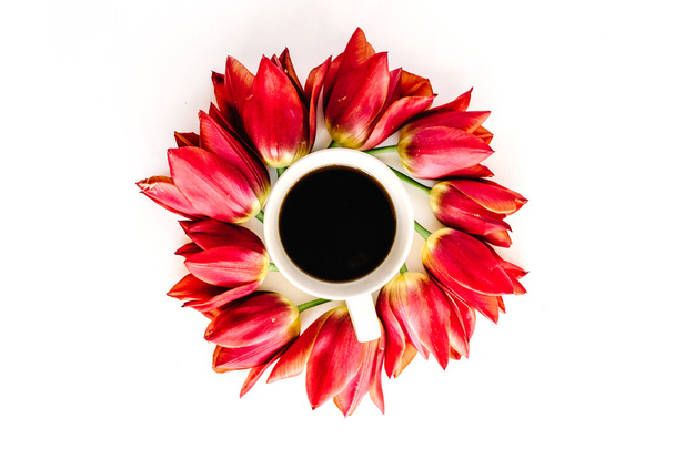 Coupe avec des fleurs de tulipe rouge
 - Photo, image