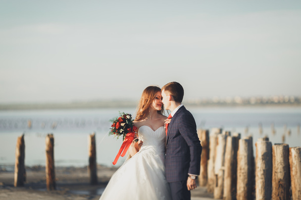 Elegant stylish happy wedding couple, bride, gorgeous groom on the background of sea and sky - Valokuva, kuva