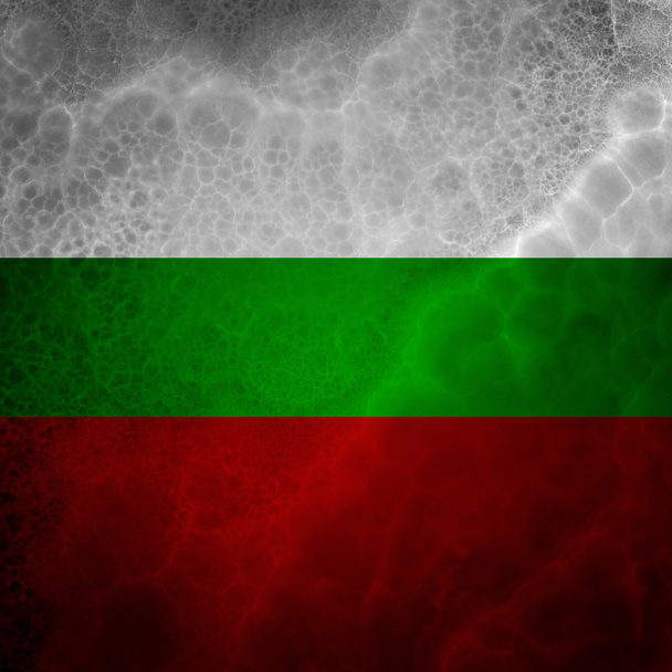Bandeira da Bulgária
 - Foto, Imagem