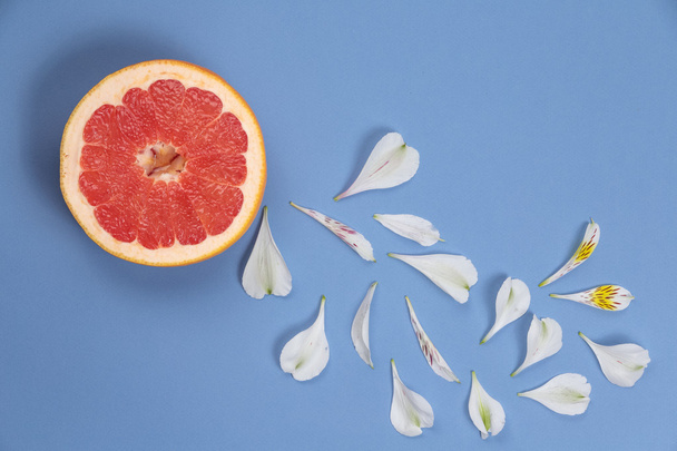 Collage of grapefruit and white flower petals - Foto, immagini