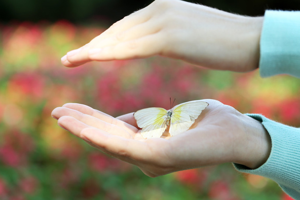 Colorful butterfly in female hand   - Φωτογραφία, εικόνα