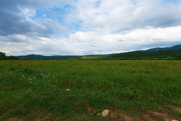 green field and blue sky - Foto, Imagem