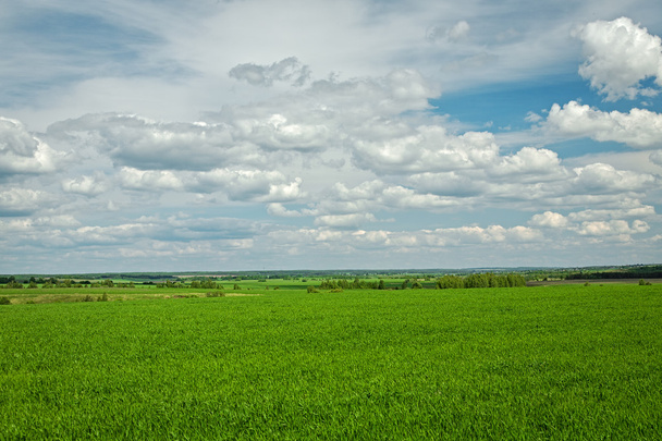 groen veld en wolken - Foto, afbeelding