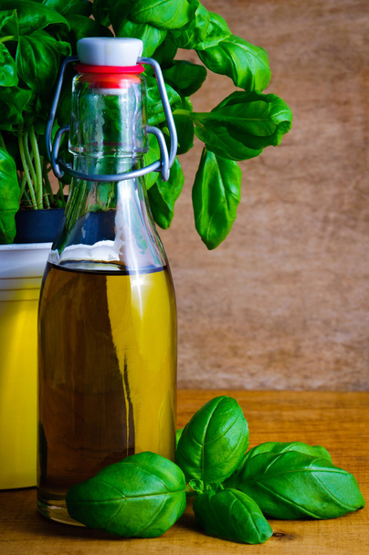 Olive oil and basil - Фото, изображение