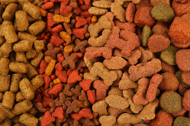 Dog food, closeup - 写真・画像