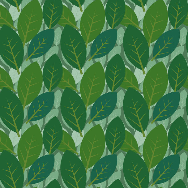 Bladeren patroon - Vector, afbeelding
