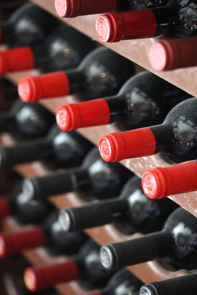 Bottles in wine cellar - Photo, Image