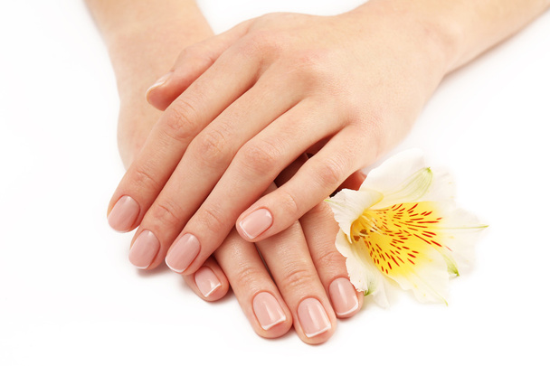 Woman hands with beautiful manicure - Foto, Imagem