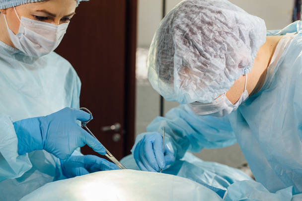 Equipo de cirujanos trabajando con monitorización del paciente en quirófano
. - Foto, Imagen