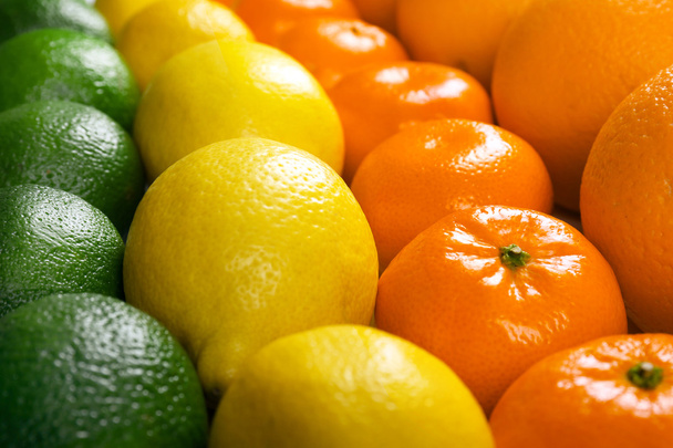 Colorful mixed citrus fruit   - Foto, afbeelding