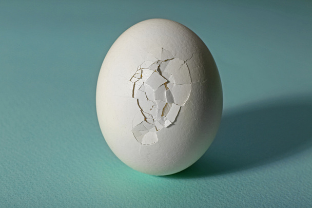 Cracked egg close up - Foto, immagini