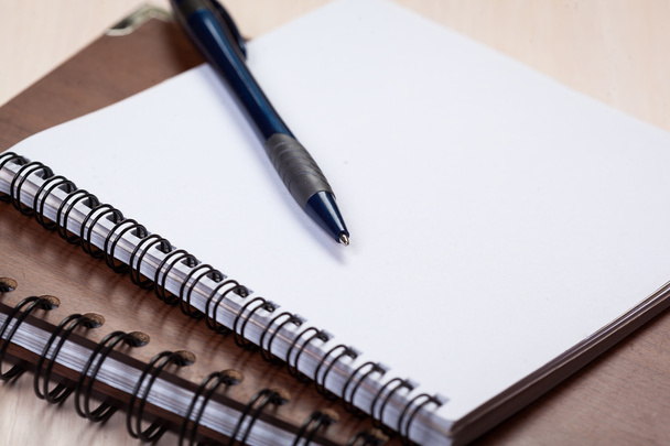 Blank notebooks with pen - Φωτογραφία, εικόνα