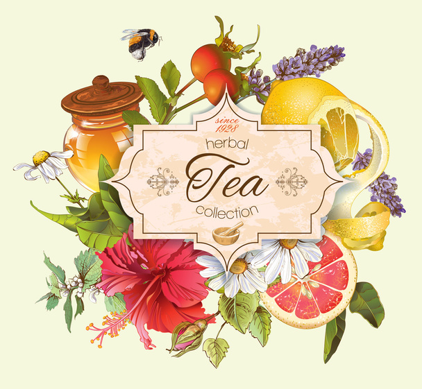 Vector vintage herbal tea banner - Vektor, kép